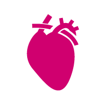 Cardiovascular
